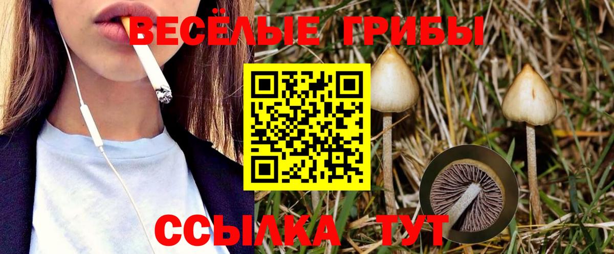 Галлюциногенные грибы мицелий  Галлюциногенные грибы Magic Shrooms  Белово  Вход с VPN 